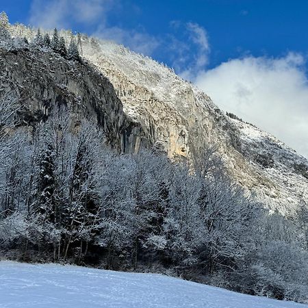 Appartement Cosy Proche Chatel Portes Du Soleil - Linge Inclus 阿邦当斯 外观 照片