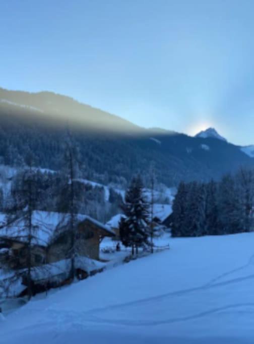 Appartement Cosy Proche Chatel Portes Du Soleil - Linge Inclus 阿邦当斯 外观 照片