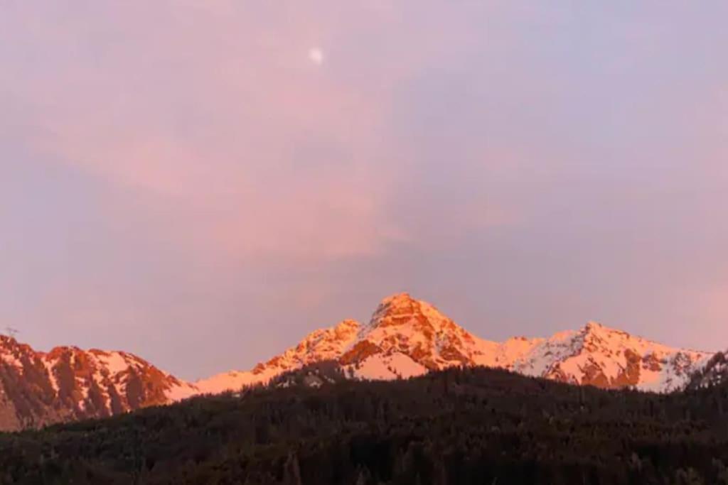 Appartement Cosy Proche Chatel Portes Du Soleil - Linge Inclus 阿邦当斯 外观 照片