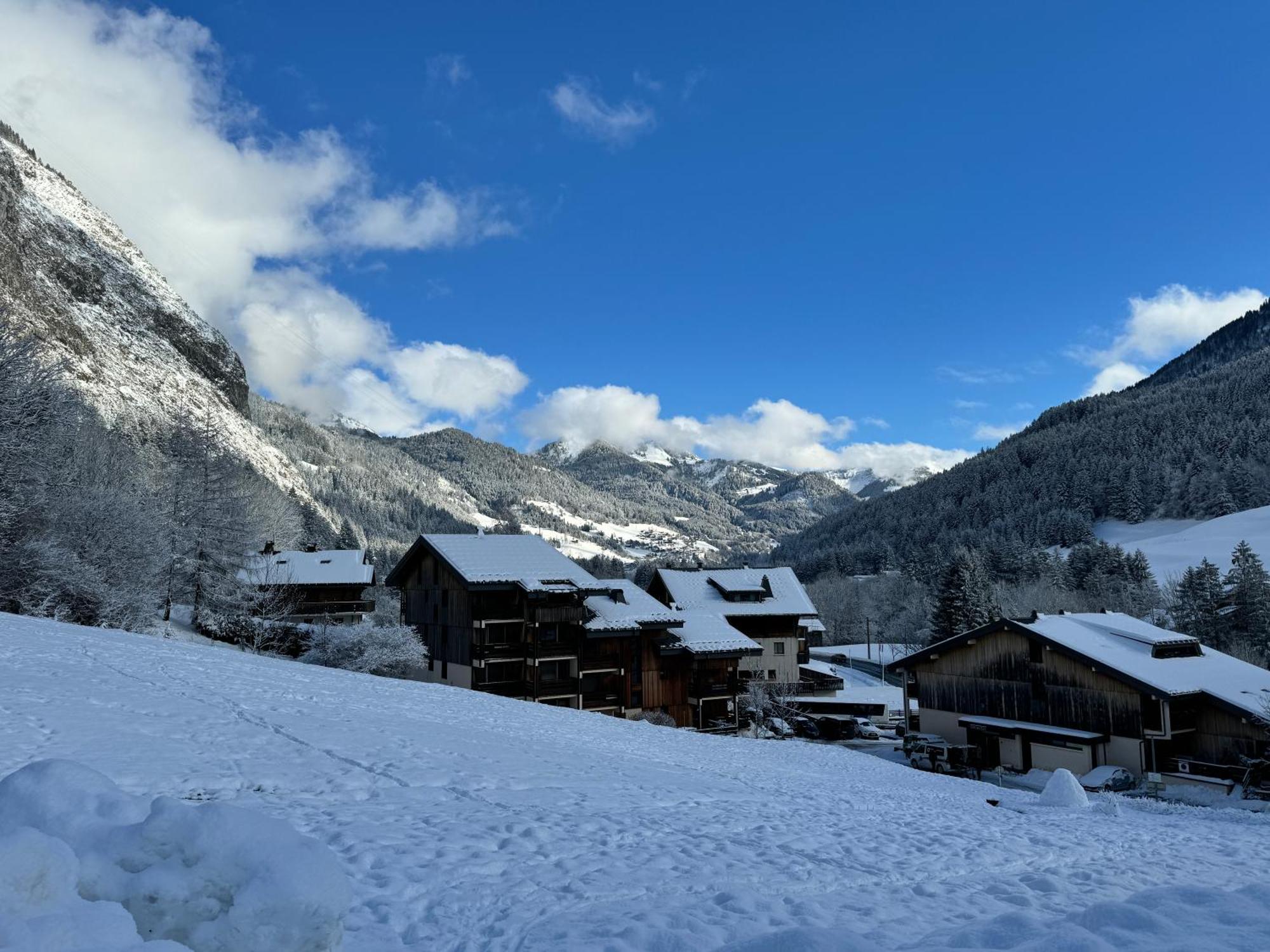Appartement Cosy Proche Chatel Portes Du Soleil - Linge Inclus 阿邦当斯 外观 照片